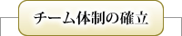 チーム体制の確立